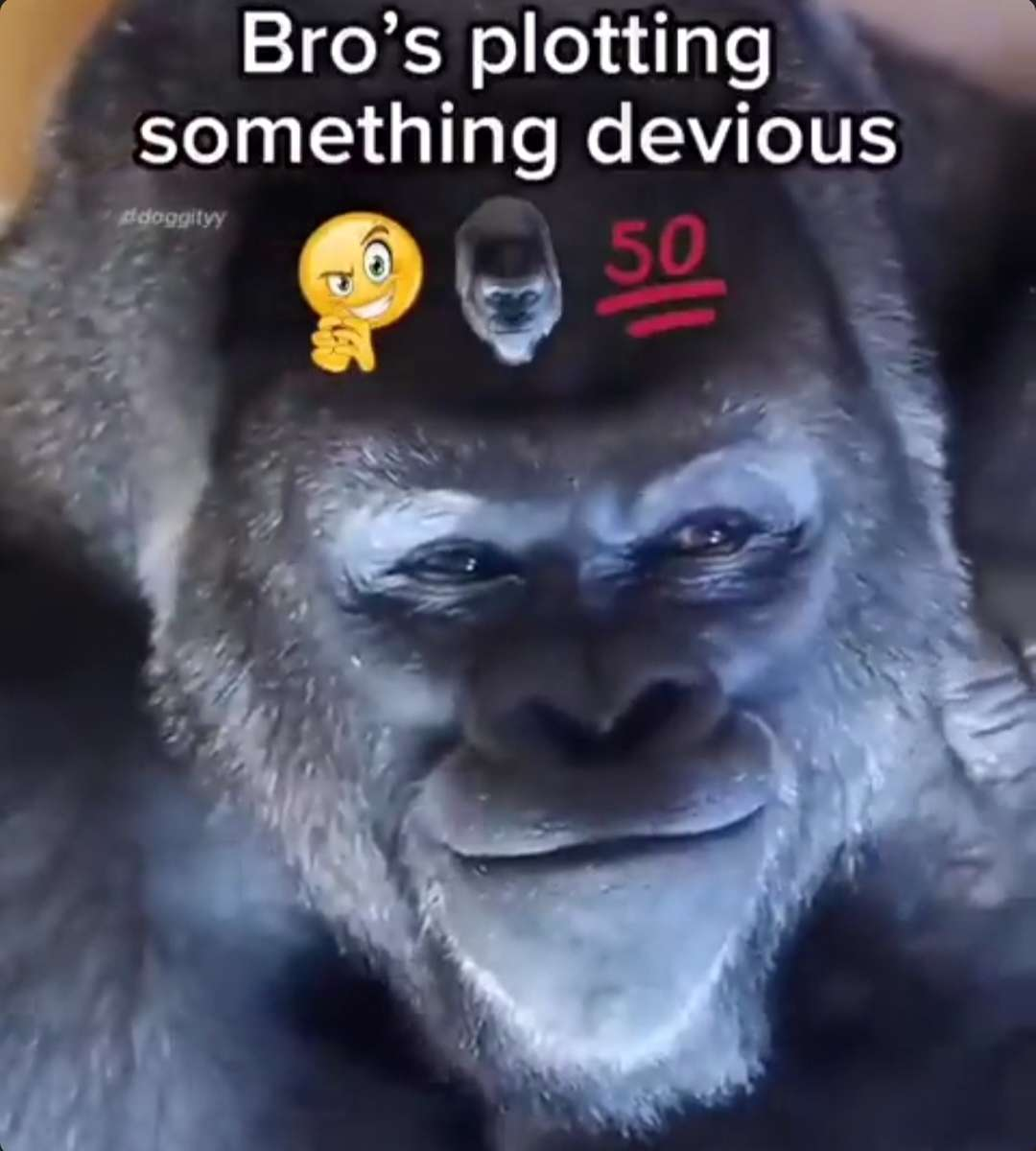 1686006108702