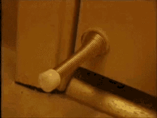 Door stopper sprung