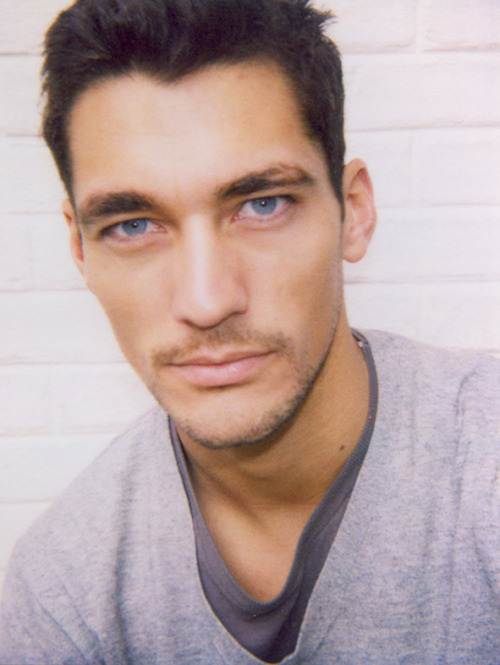 Gandy