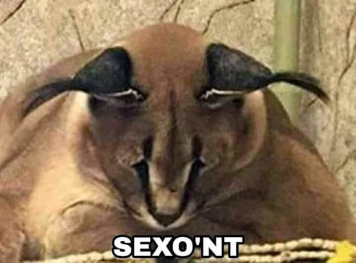 Sexont