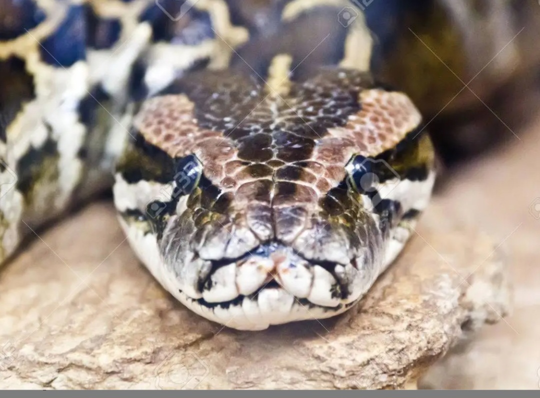 Screenshot 20230607 183314 Samsung Internet