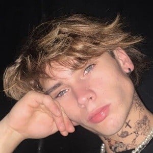 Damian kater 5