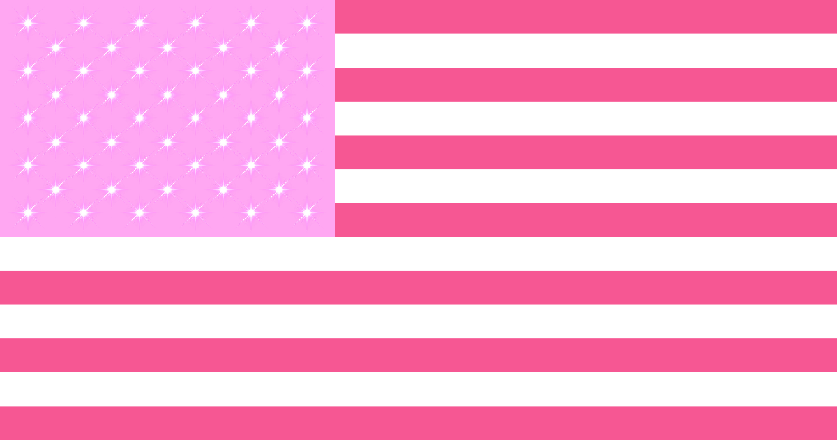 REAL Flag of the USA 2