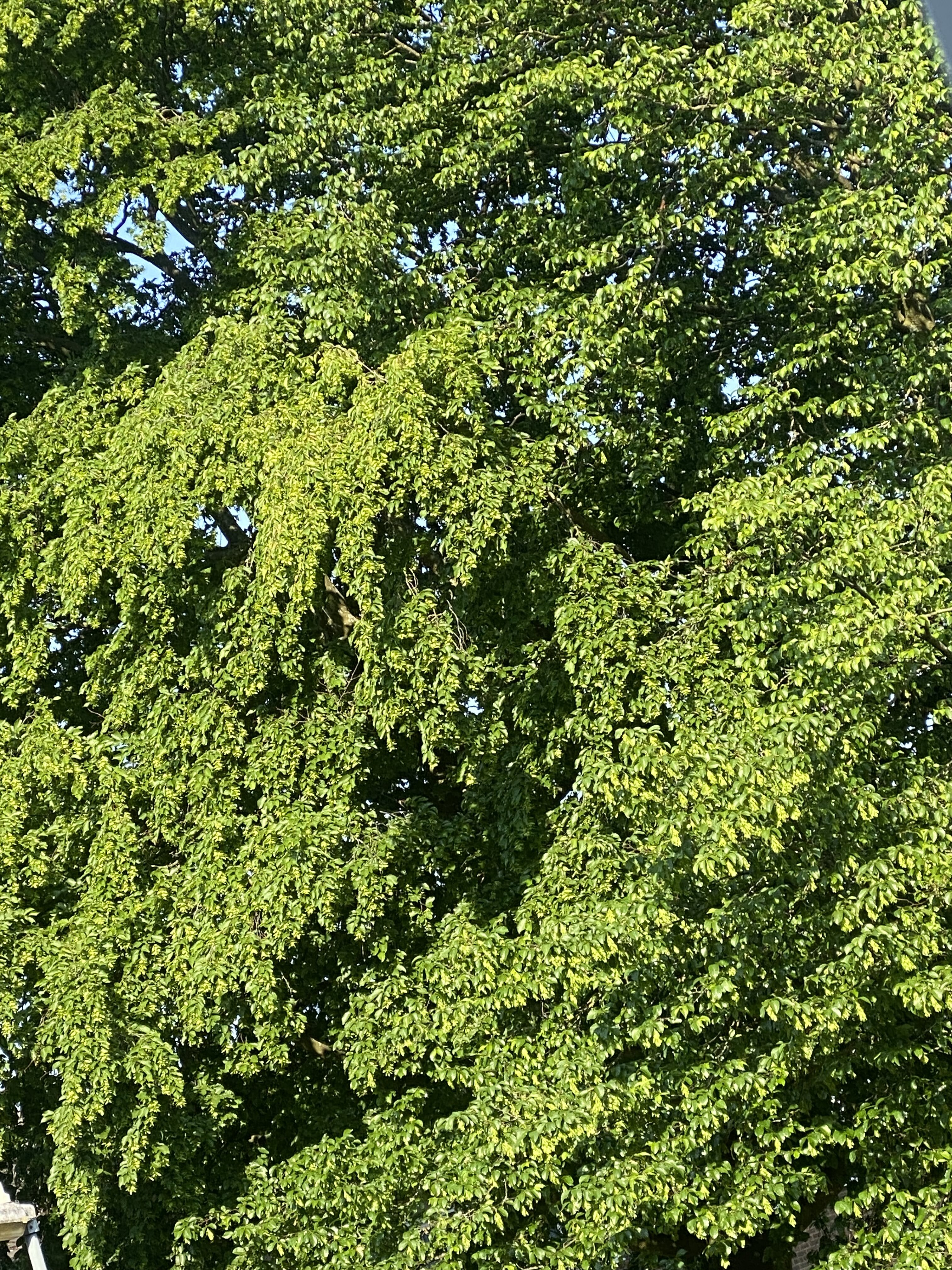 F01E9DA6 D81F 430D BB20 505E6B258630