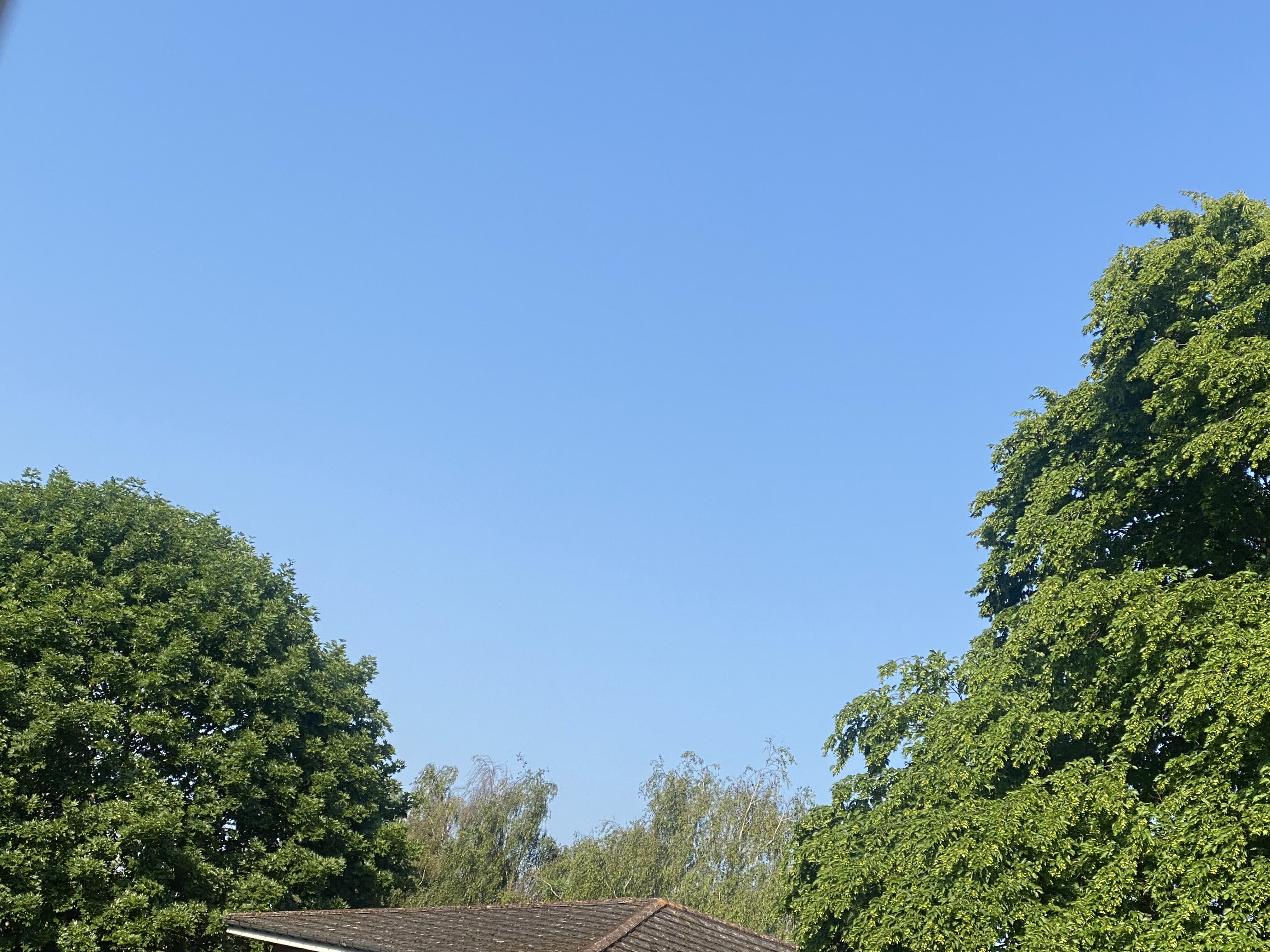 AC758381 E749 479C 8D49 30FB412EBEEF