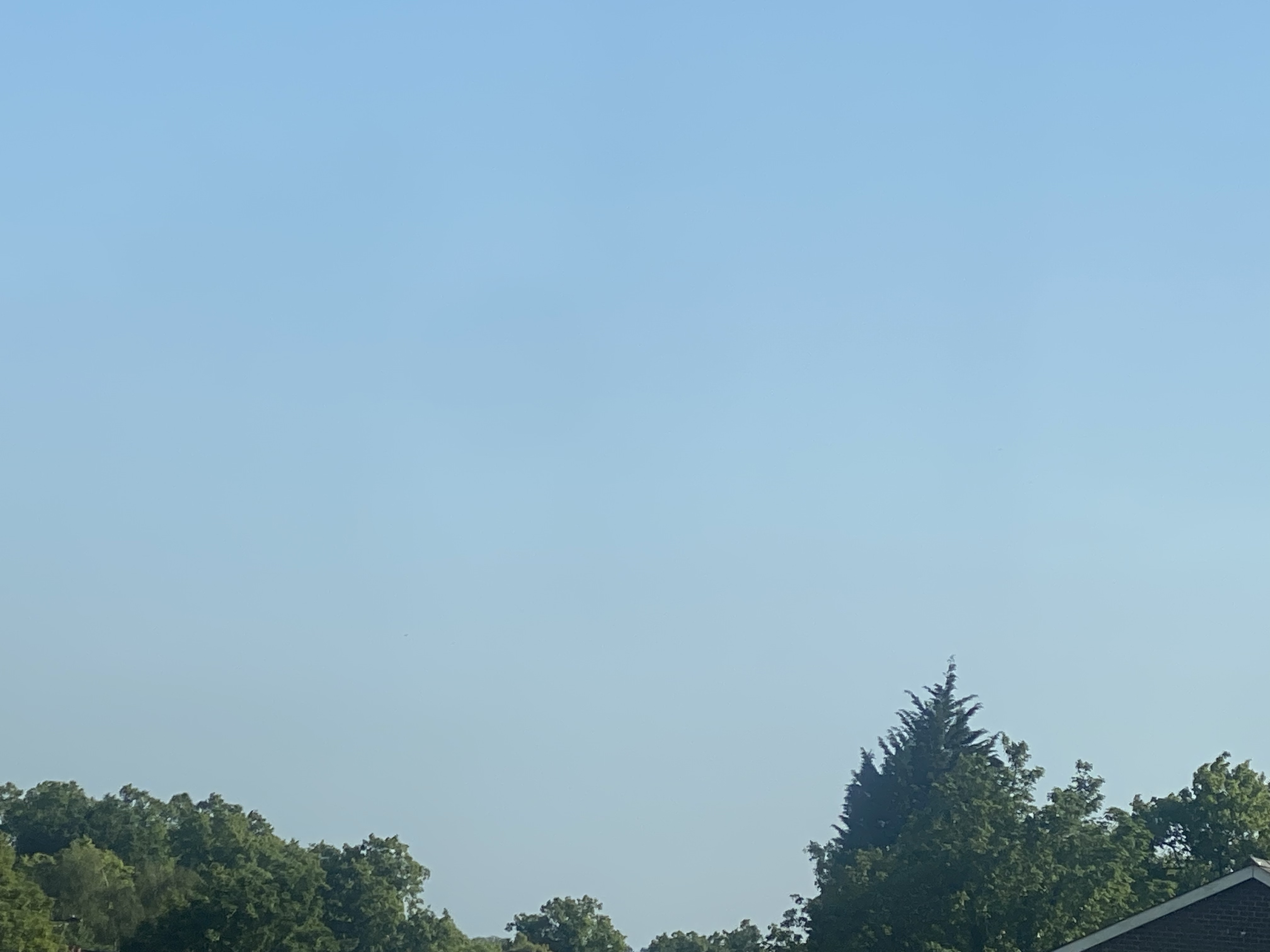 C33162AE 1825 4F0F AEBC 63337D8FAC05