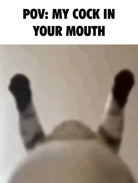 1676990517767683