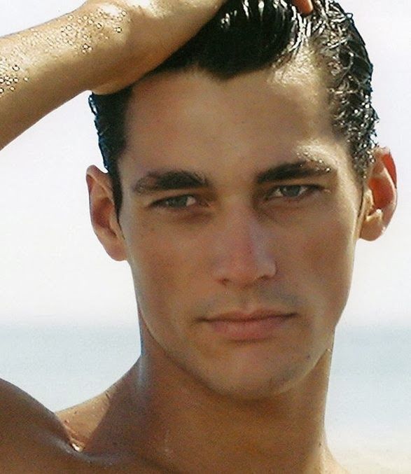 1c1f5dae25cbffb387ee826ef93100ad  david gandy young david james gandy