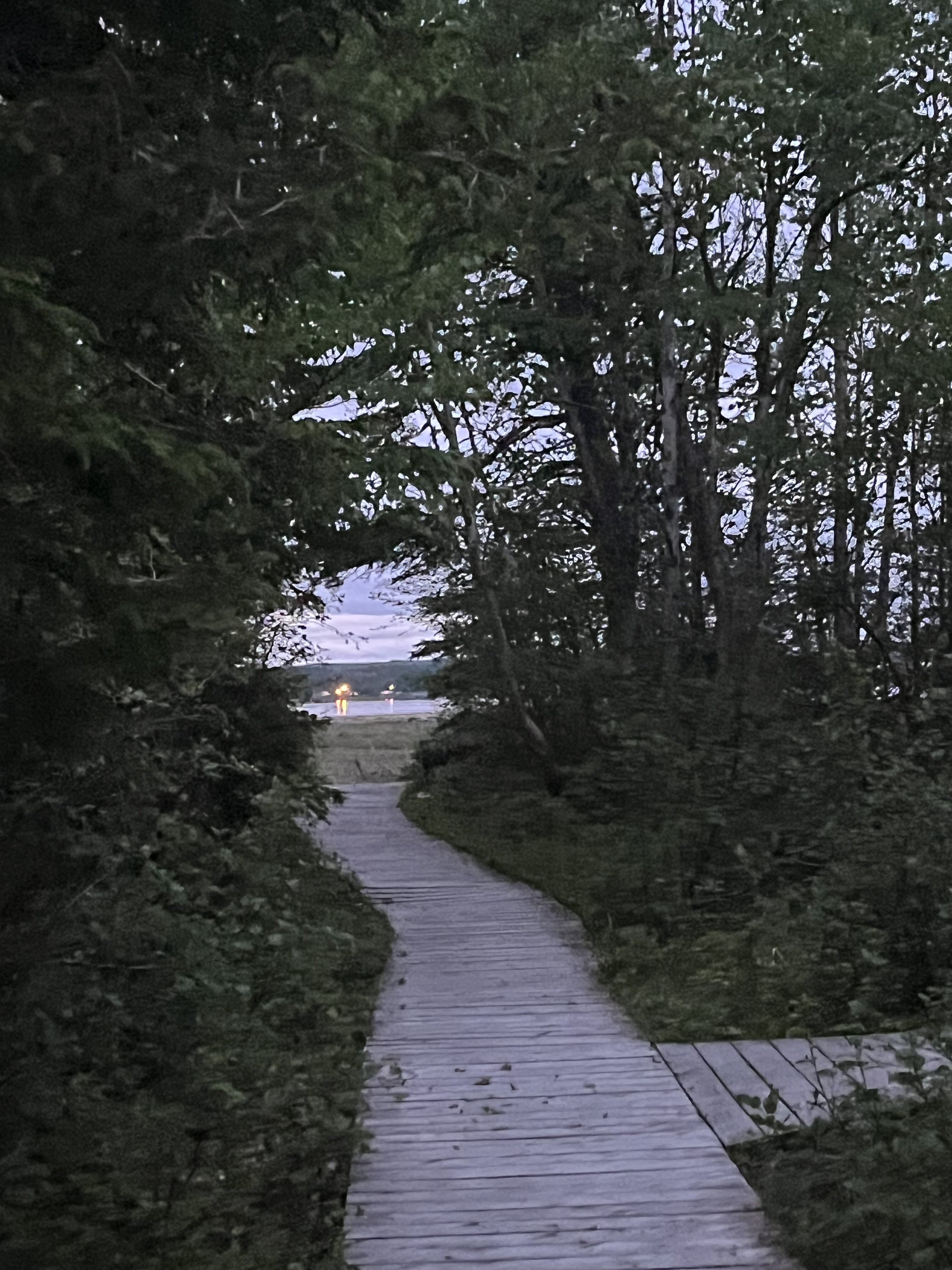 IMG 0476