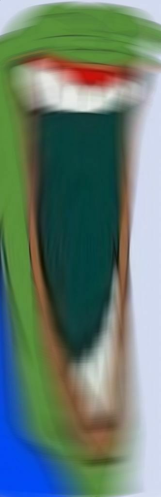 Frog 5
