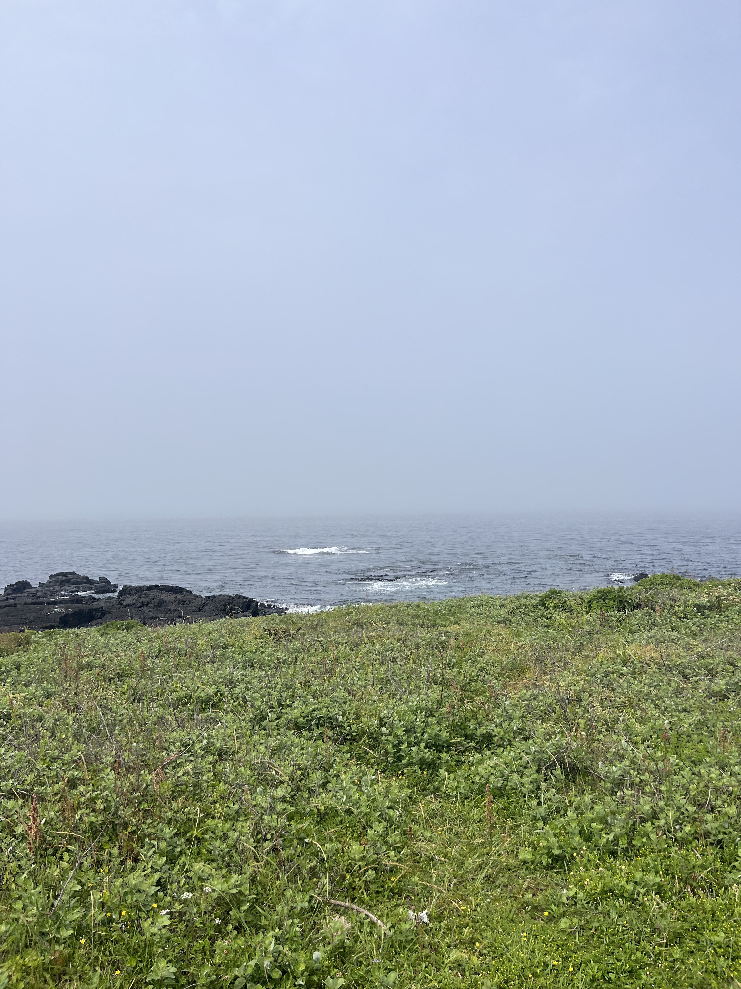 IMG 0785