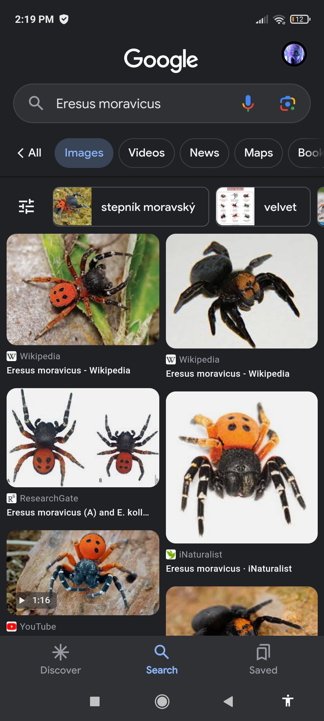 Screenshot 2023 06 11 14 19 57 427 comgoogleandroidgooglequicksearchbox