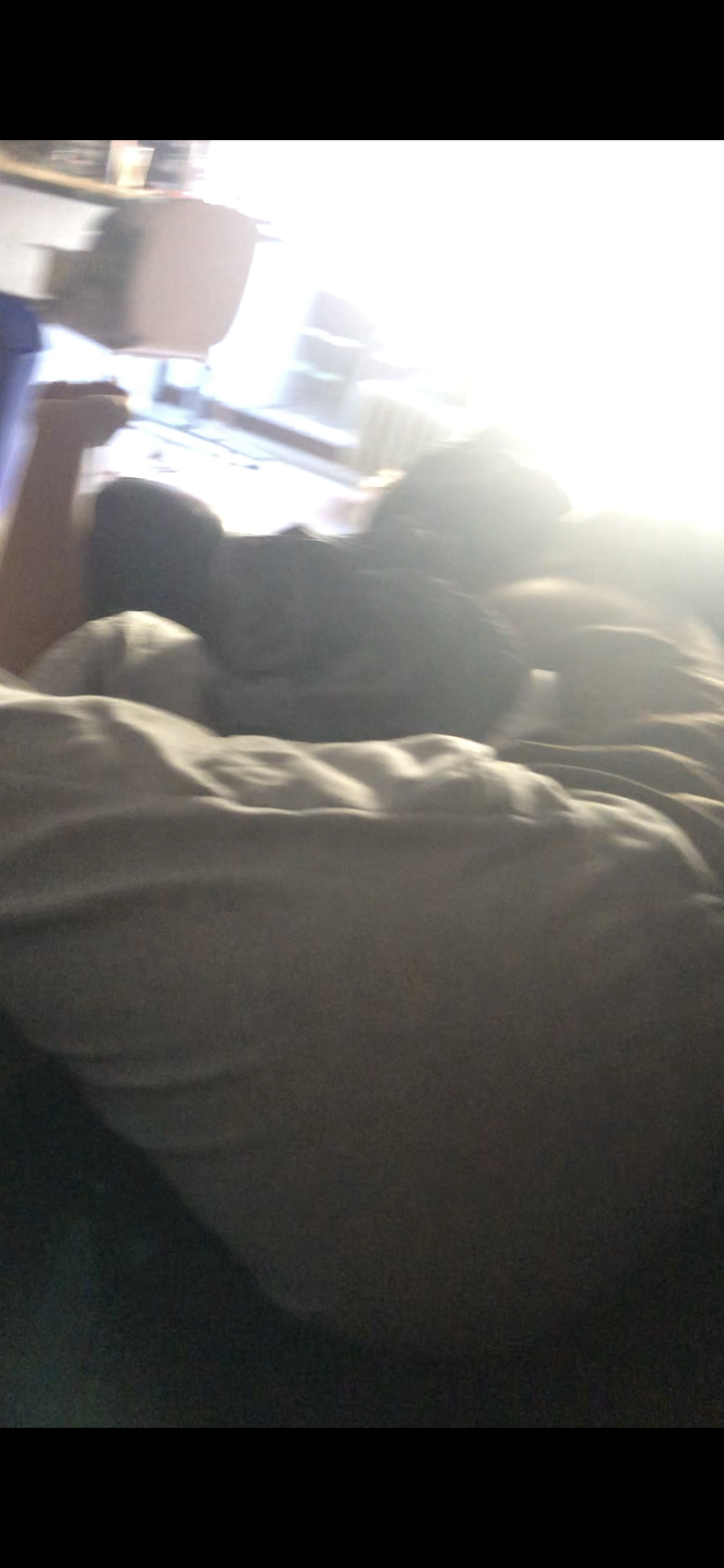 0F13CB88 5B0B 4A2C 8A9A 929F9EBFAABF