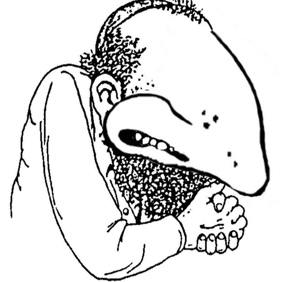 IMG 2020