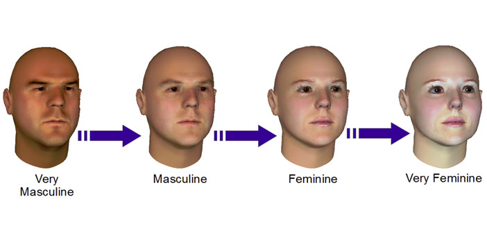 Facial gender by PLoS One Creative Commons