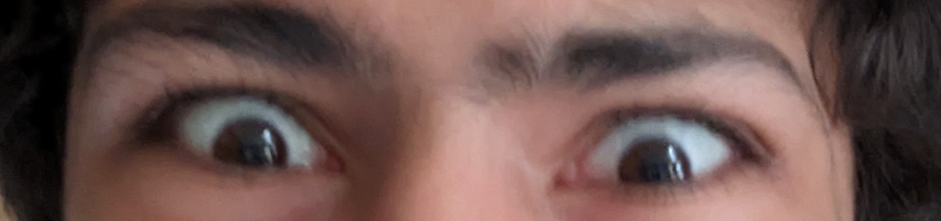 1000002406
