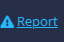 Report