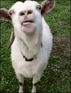 1686971460452