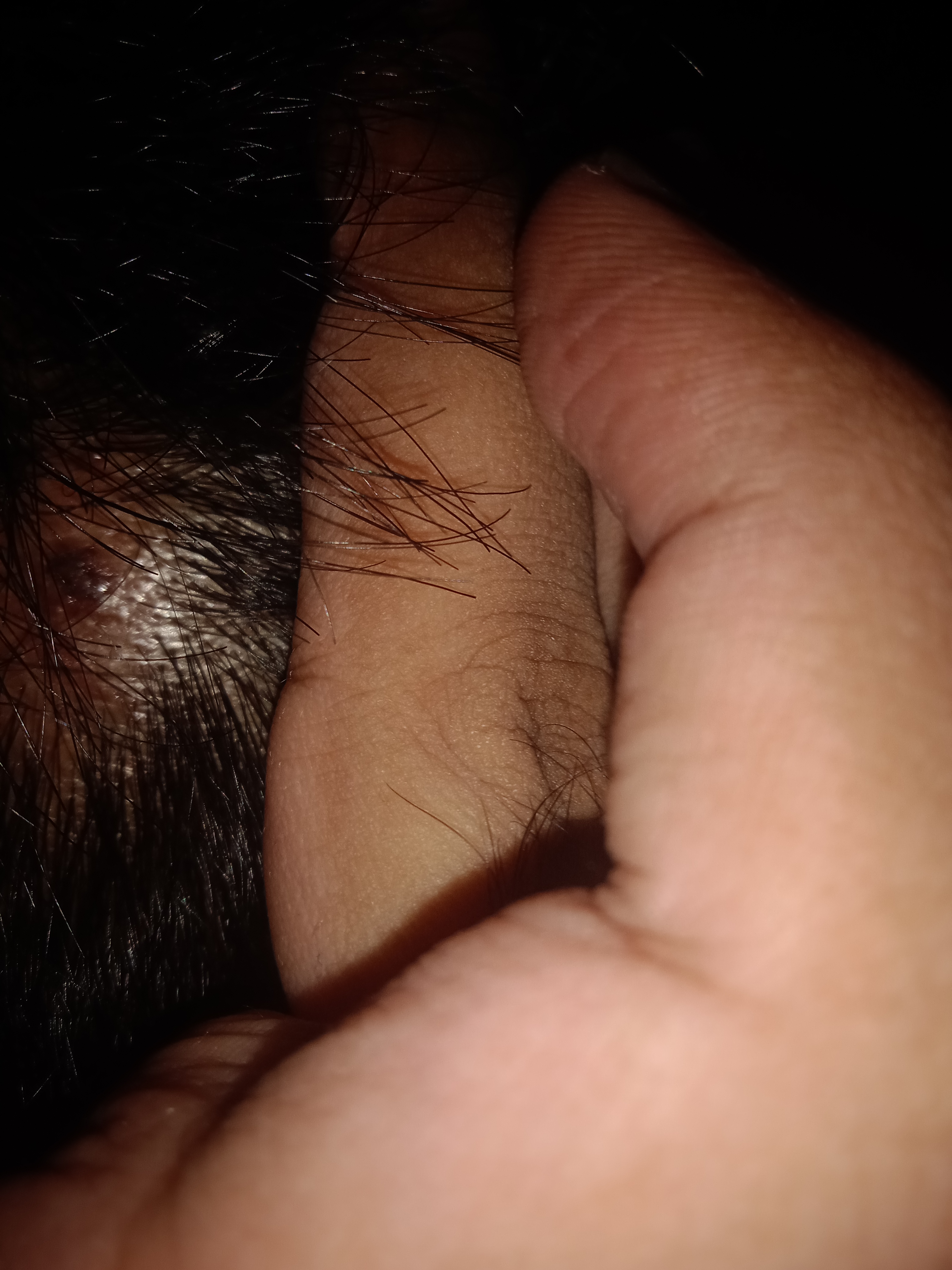 IMG 20230617 060639