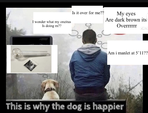 C1BB7C9D EC04 48AB B70E 729CA880B501