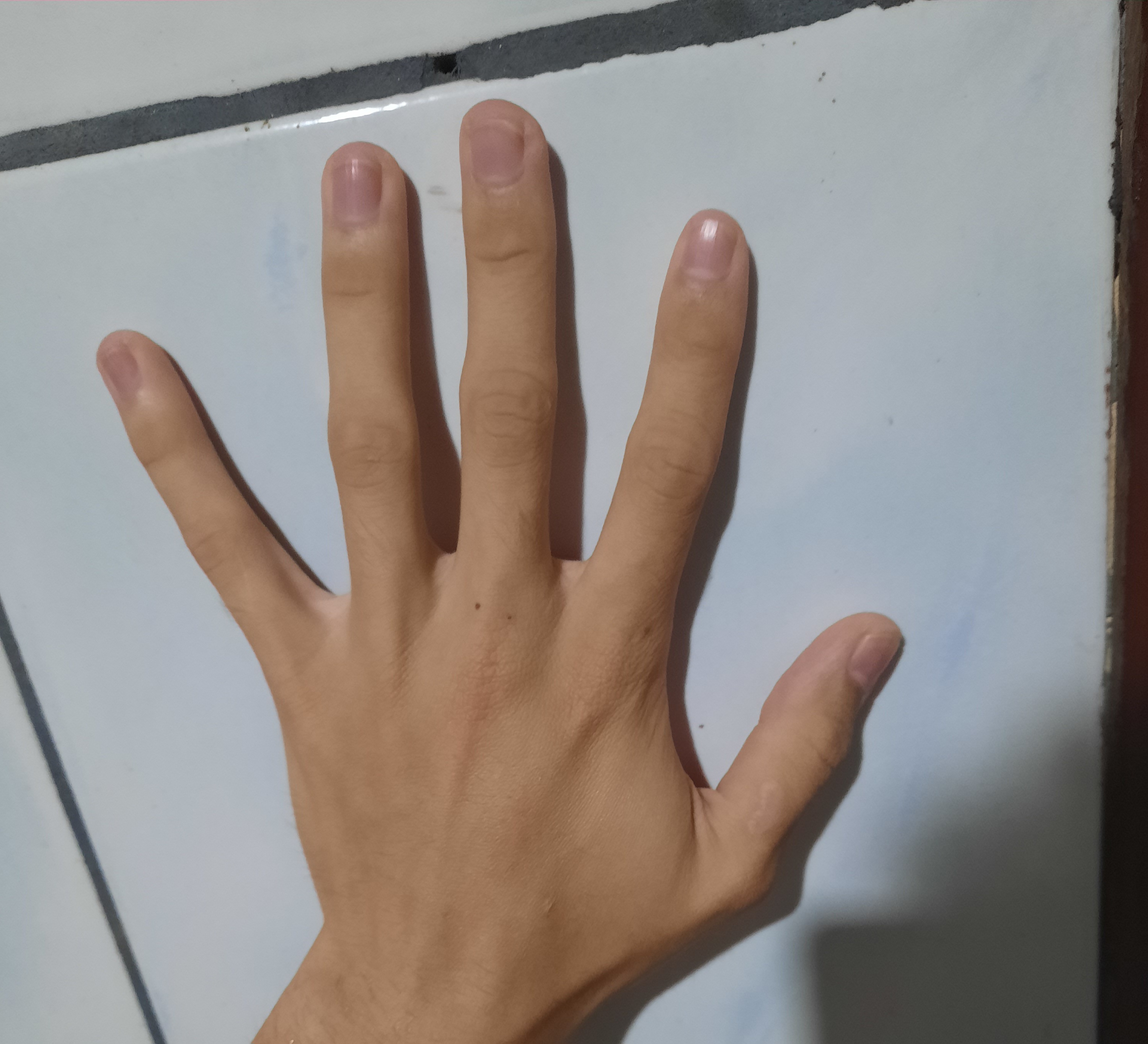 20230618 195329