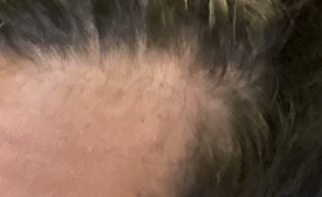 1687448073680