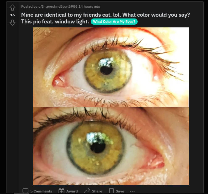 1687537844192