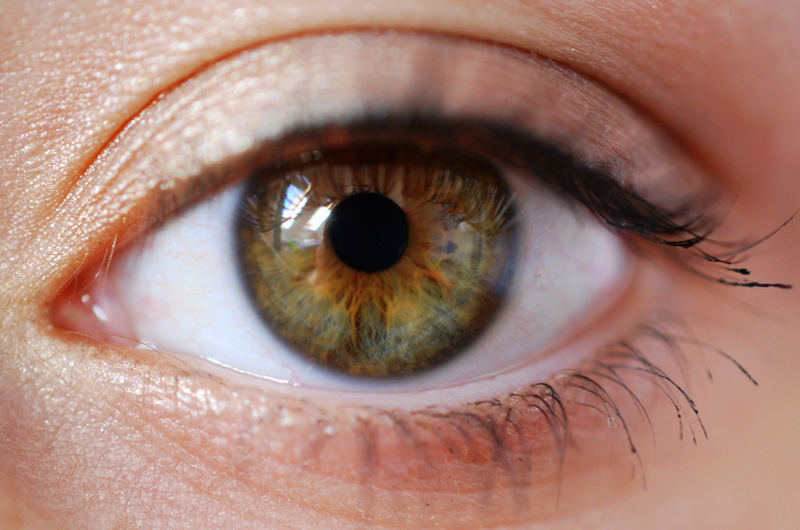 Hazel eyes the eye color chameleon