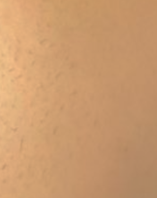 1687620611821
