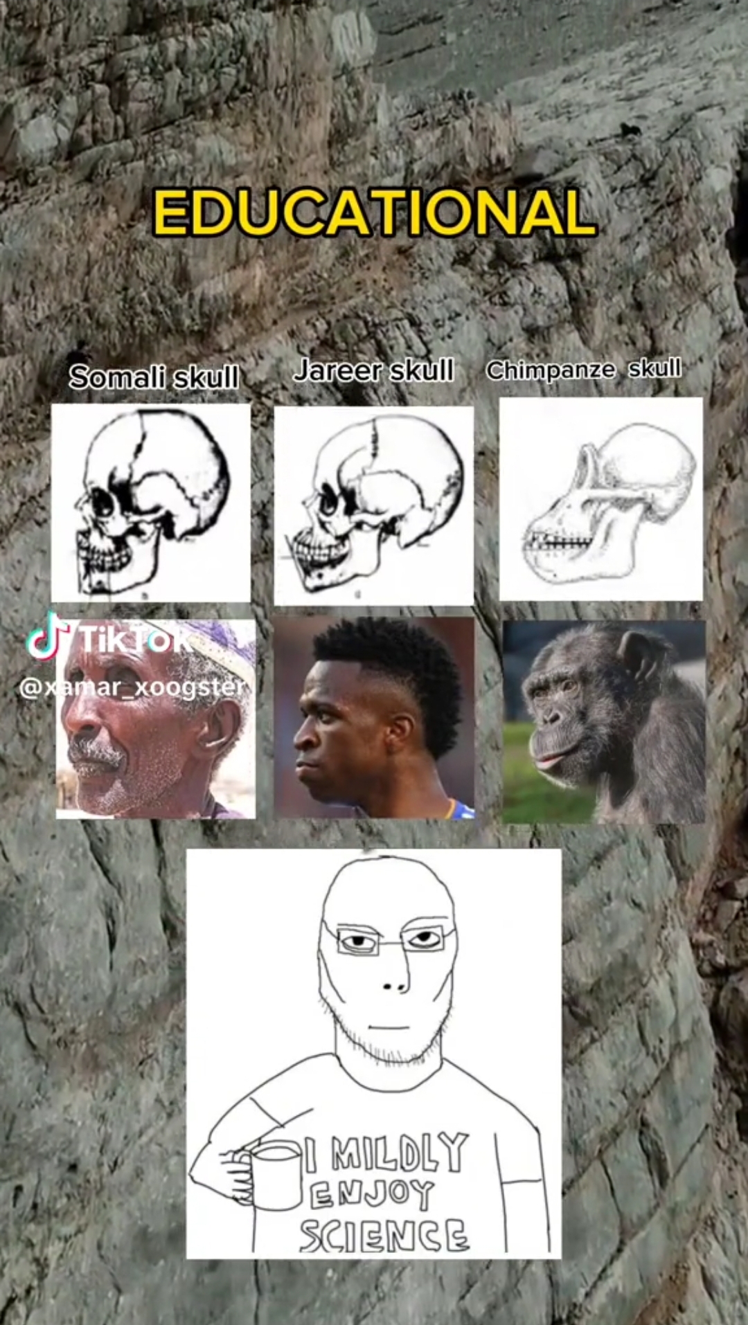 Screenshot 20230625 012133 Gallery