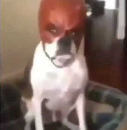 1687663914508