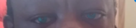 1687746929598