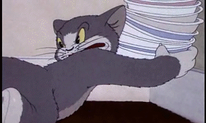 19429
