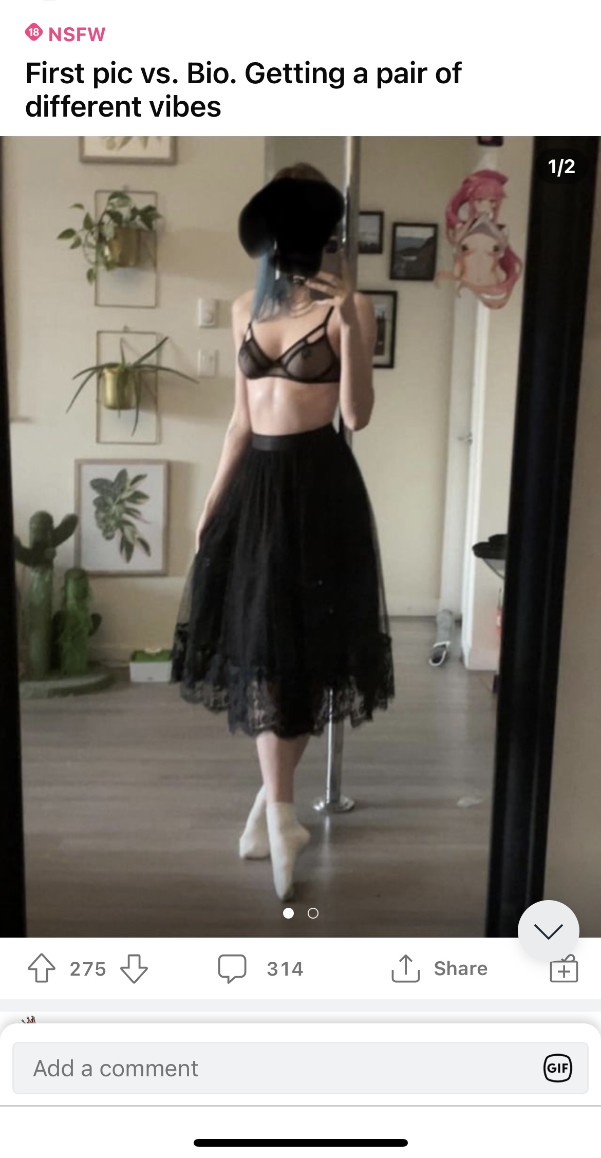 IMG 0555