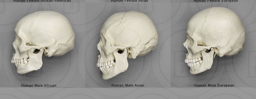 A2872003 65D5 4C6D B272 F3008269D7E0