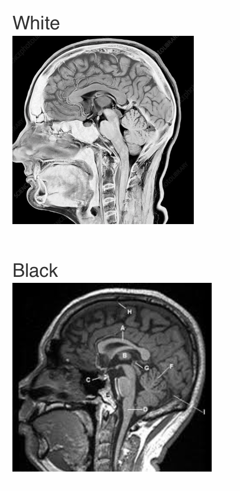 8D05322B CA4C 4D8F BD35 D16270065724