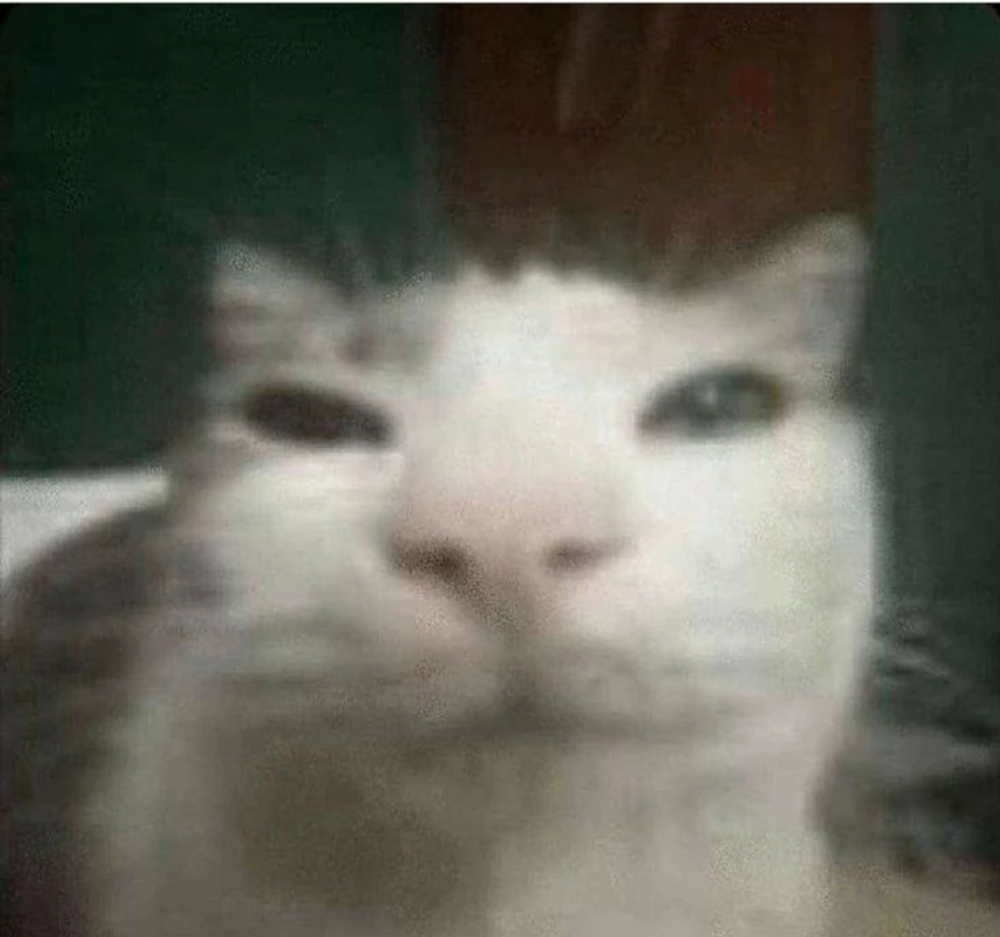 Screenshot 20230519 185135