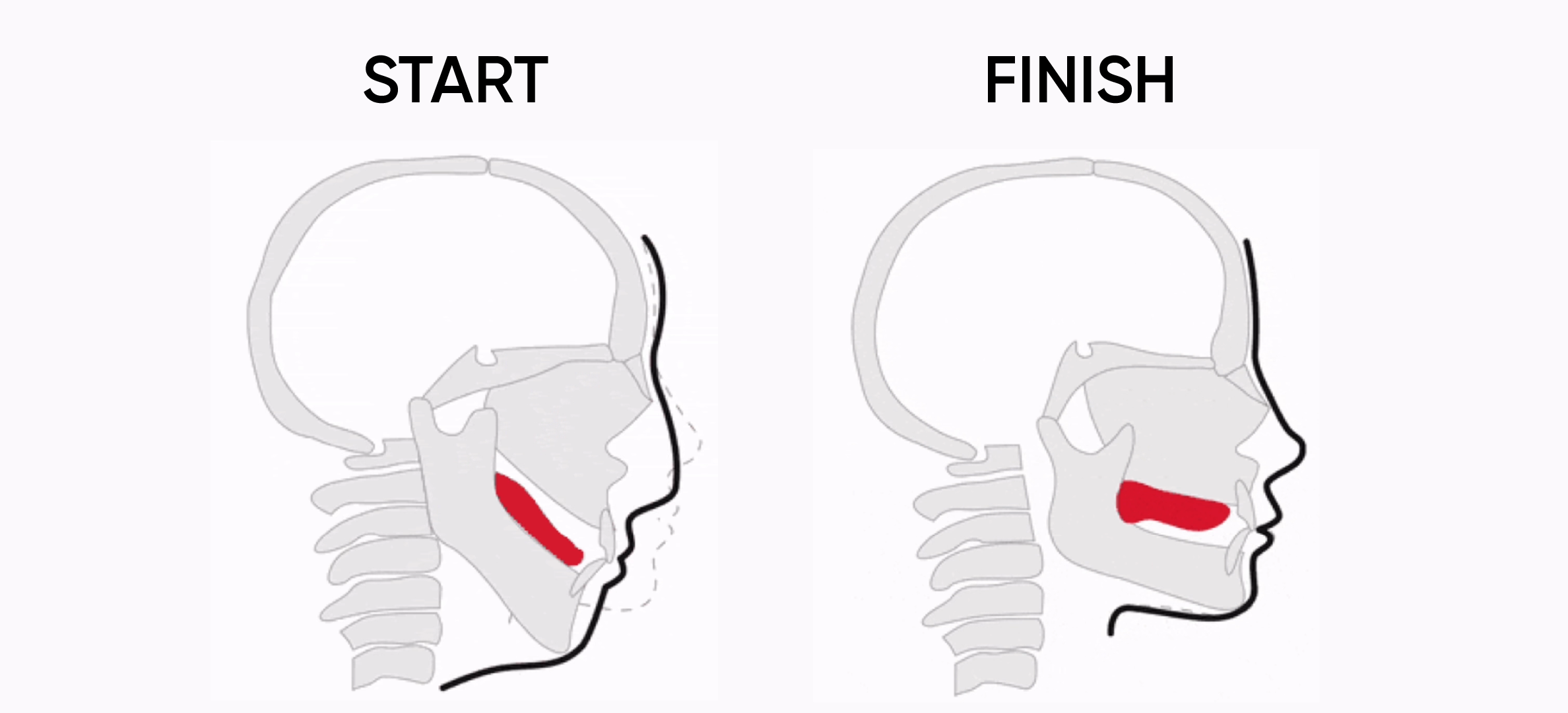 Mewing tutorial