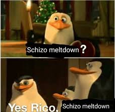 Images 4