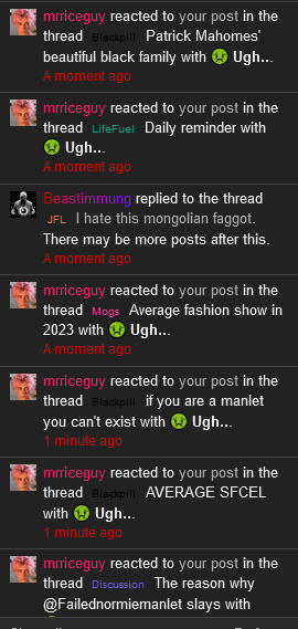 Screenshot 2023 06 28 at 20 06 25 I hate this mongolian faggot