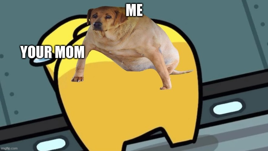 1688020995525