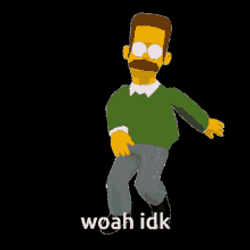 Idk i don t know woah ned flanders simpsons ktlc5ib6xkfroc7x