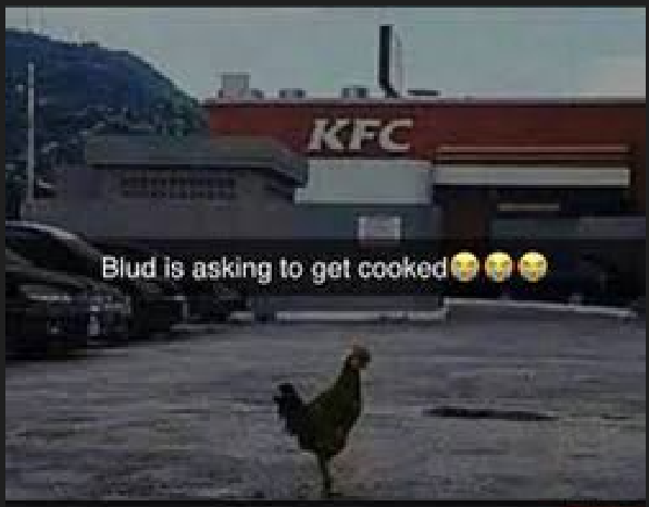 Cook