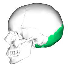 217D3BDE DBF4 4E00 A915 855100EB8505