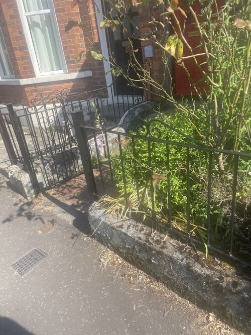 IMG_8283.jpeg