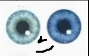 1687400030953.png
