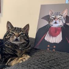 Cati