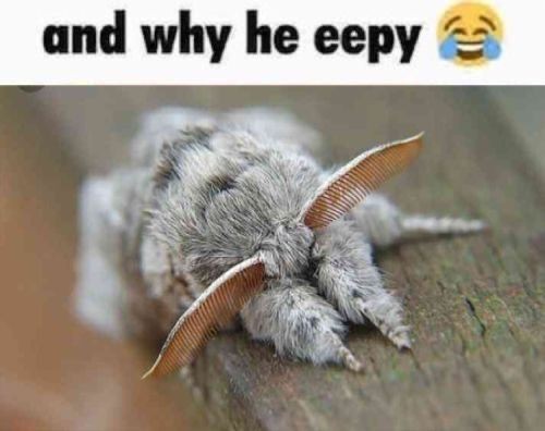 Fceb39c7e413438897532634d4d52b7e