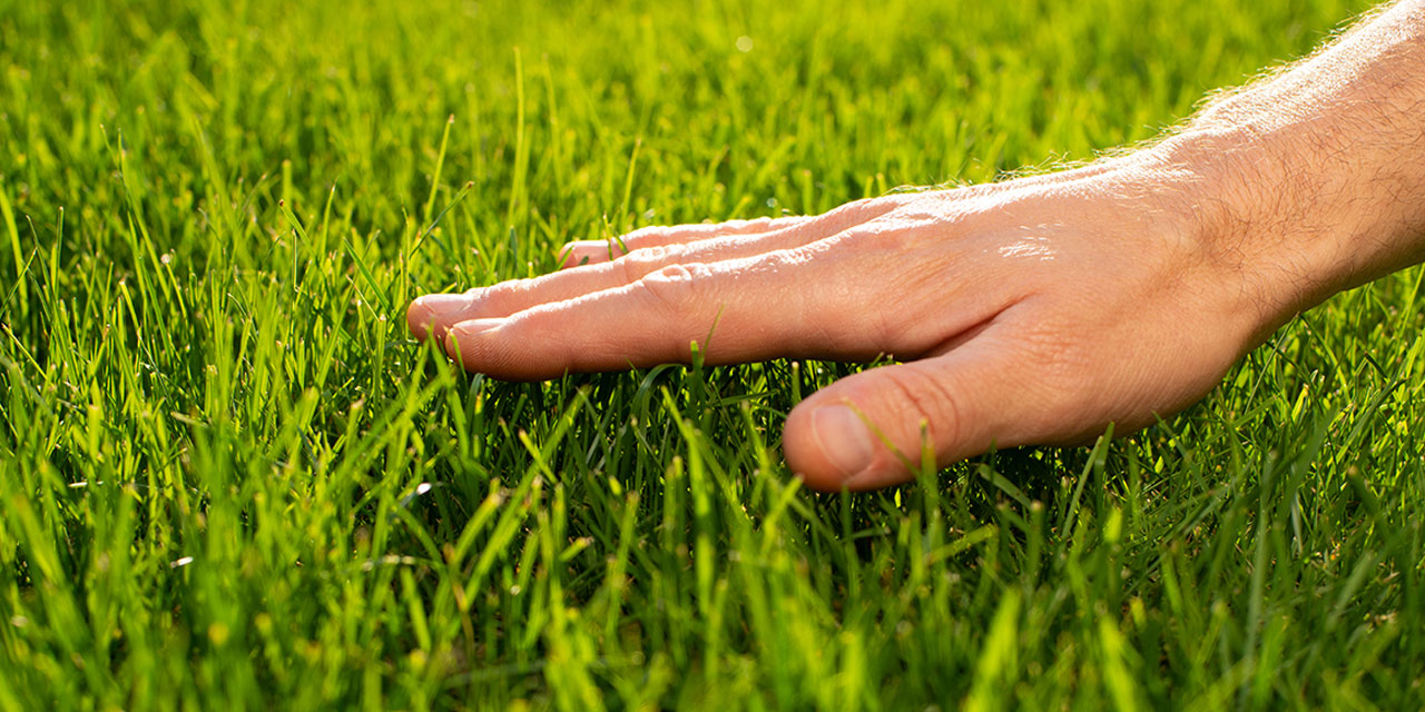 On the need to touch grass