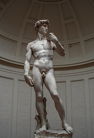 Michelangelos David   right view 2